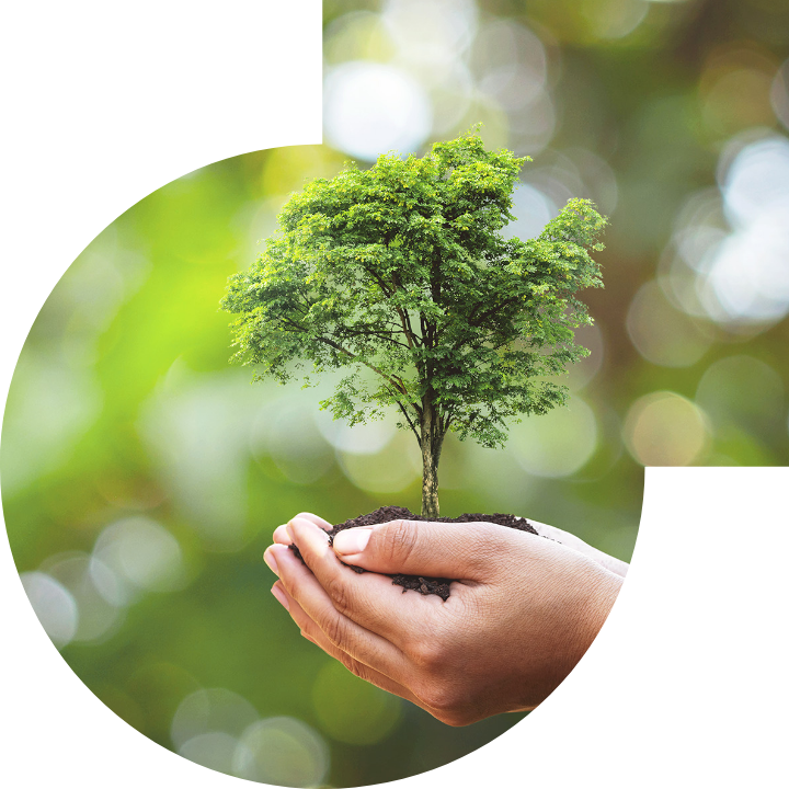 关怀人类、文化、环境与社会